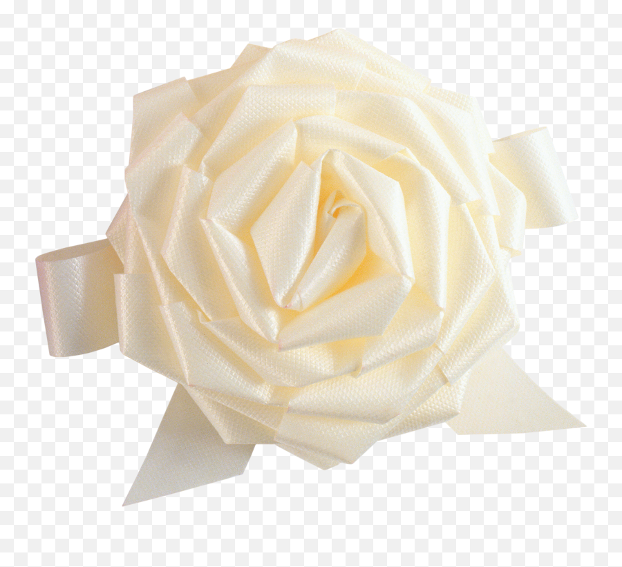 White Rose Png Image Flower - Garden Roses,White Roses Png