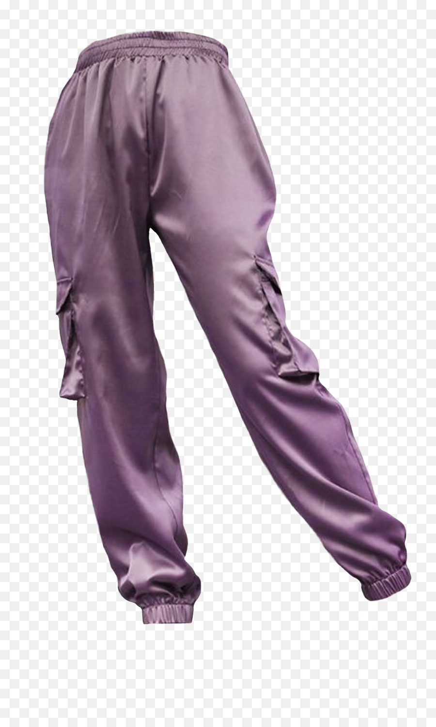 Purple Pants Polyvore Moodboard Filler Aesthetic Clothes - Aesthetic Cargo Pants Png,Pants Png