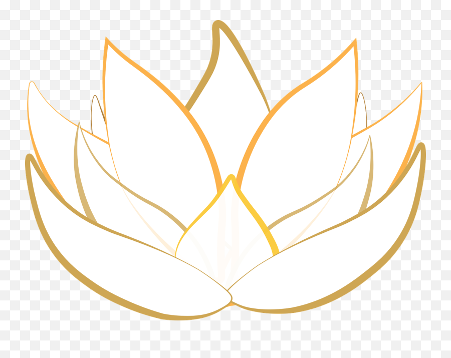 Cropped - Goldlilypng U2013 Lilium Hr Services Hoa Sen Ha,Lily Png