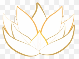 Cropped - Goldlilypng U2013 Lilium Hr Services Hoa Sen Ha,Lily Png