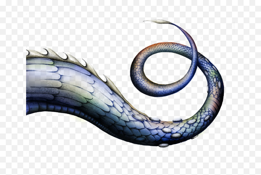 Download Free Png Dragontail - Dragon Tail Png,Tail Png