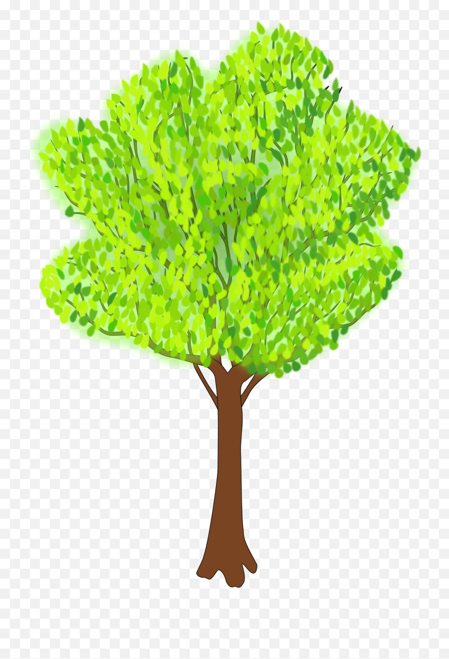 Tree With The Green Foliage In Summer Clipart Free Image - Clipart Tree In Summer Png,Summer Clipart Png
