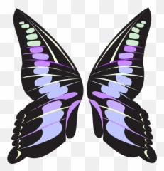Butterfly Wings Pink - Free image on Pixabay Cartoon Fairy Png
