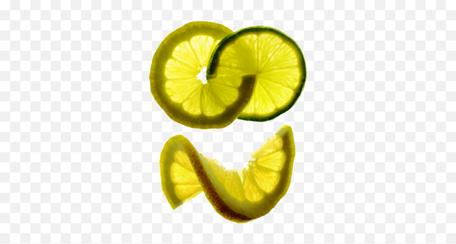 Free Lemon U0026 Lime Twist Psd Vector Graphic - Vectorhqcom Citrus Fruits Png,Limon Png