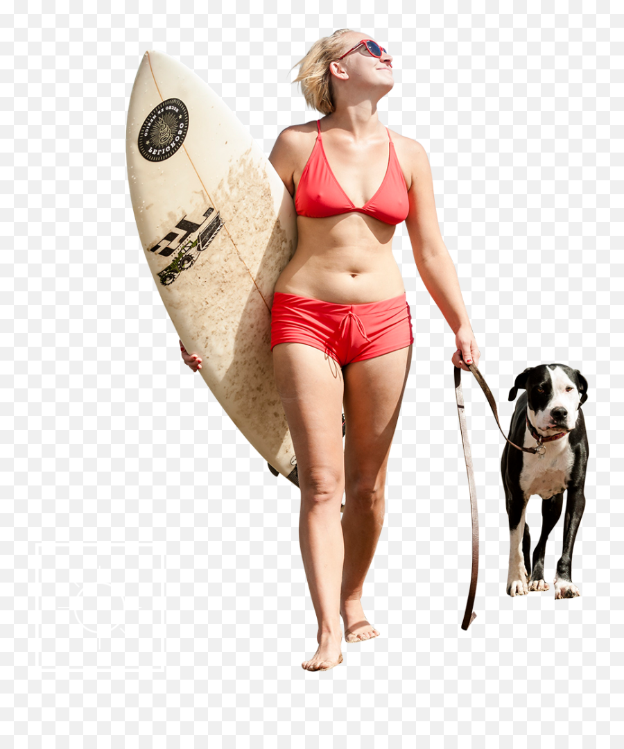 Download Hd Walking People Png - Great Dane Transparent Png Transparent People On The Beach Png,Great Dane Png