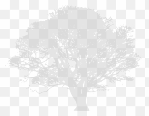 Oak Tree Clip Art - vector clip art online png