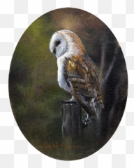 Barn - Owlonpost Shapiro Fine Art Barn Owl Png,Barn Owl Png