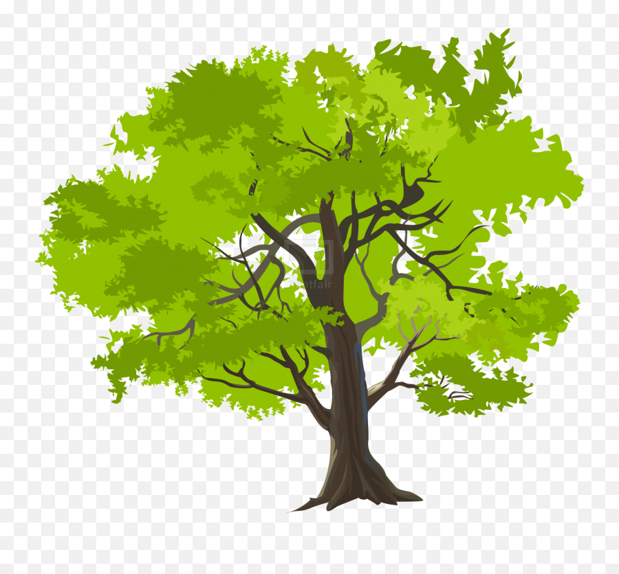 Home Insetfair - Vector Nature Png,Tree Top Png