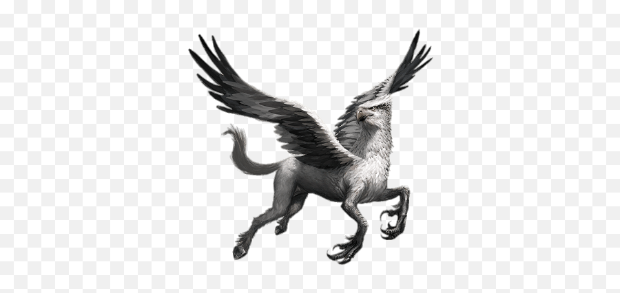 Harry Potter Hippogriff Transparent Png - Fantastic Beasts Cases From The Wizarding World Creatures,Harry Potter Transparent Background
