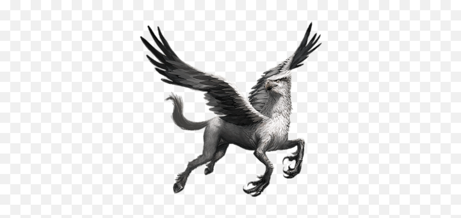 Harry Potter Hippogriff Transparent Png Fantastic Beasts Cases From The Wizarding World Creatures Harry Potter Transparent Background Free Transparent Png Images Pngaaa Com