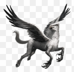 Harry Potter Hippogriff Transparent Png - Fantastic Beasts Cases From The Wizarding World Creatures,Harry Potter Transparent Background