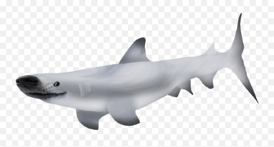 Shark Png - Doge Shark Png,Great White Shark Png