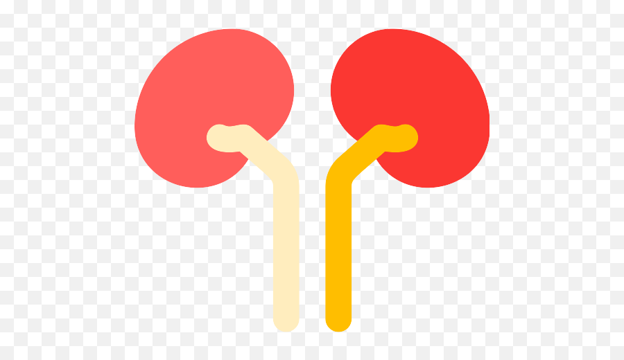 Kidney Png Icon - Kidney,Kidney Png