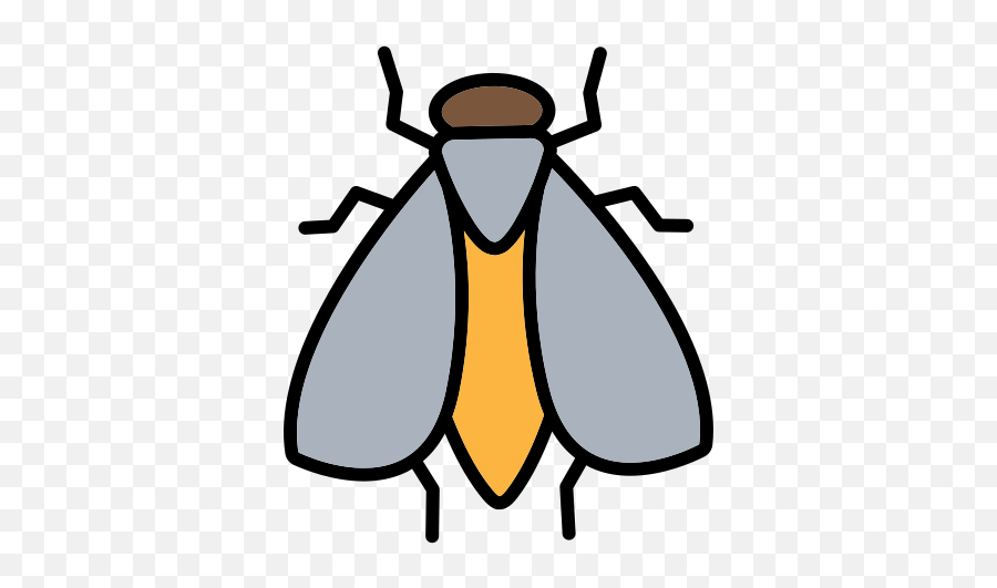 Dirty Fly Flies Insect Wings Bug - Parasitism Png,Flies Png