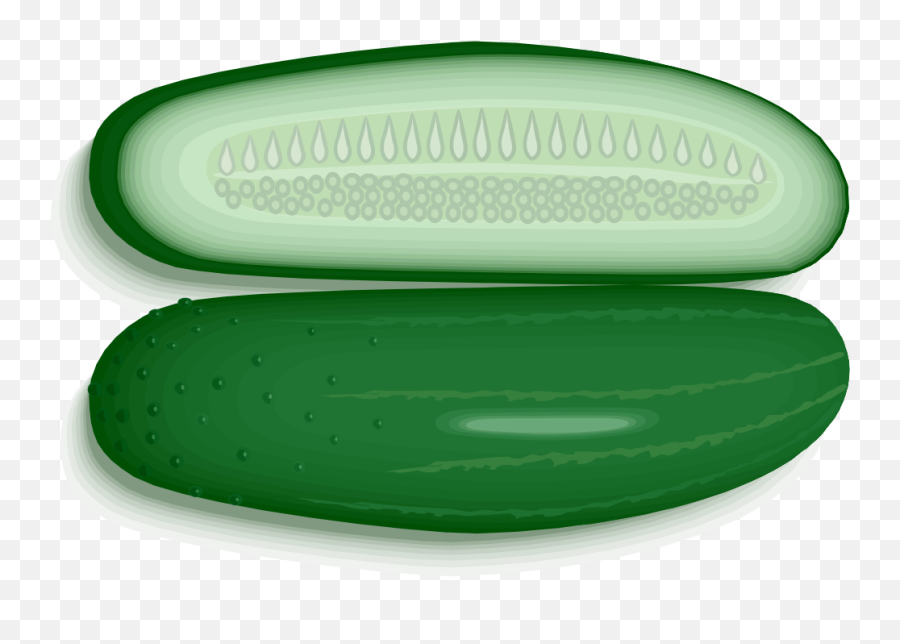 Filecucumbersvgpng - Wikimedia Commons Solid,Cucumber Png