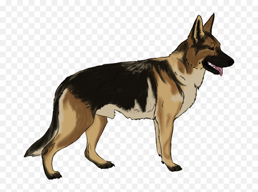 Funny Dog Png - German Shepherd Dog Clipart,German Shepherd Transparent