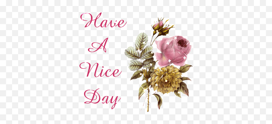 Upload Stars - 629 Have A Nice Day Pink Flowers Sparkle Good Morning Wishes Gif Download Png,Transparent Pink Flowers