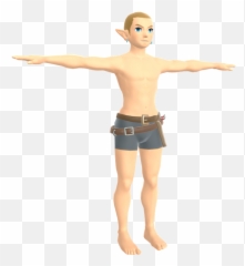 Wii U - The Legend of Zelda Breath the Wild Link Of Model png