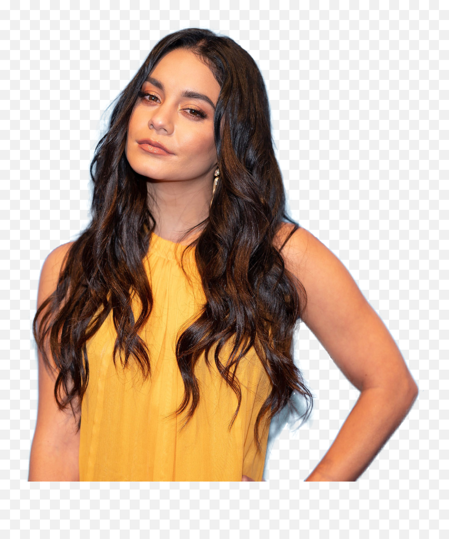 Bio Family Net Worth Wavy Png Vanessa Hudgens Png Free Transparent Png Images Pngaaa Com