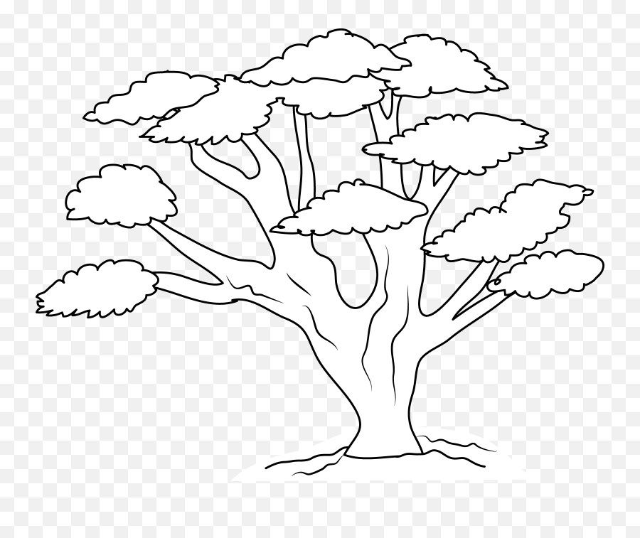Tree Line Art 9 - 550 X 438 Webcomicmsnet Big Tree Coloring Page Png,Big Tree Png