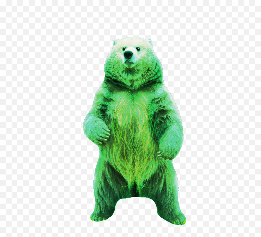 Download 370kib 526x768 Gummy Bear - Grizzly Bear Png,Gummy Bear Png