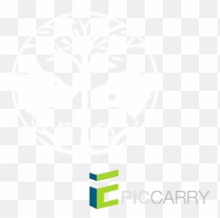 Destiny 2 Iron Banner Logo - png