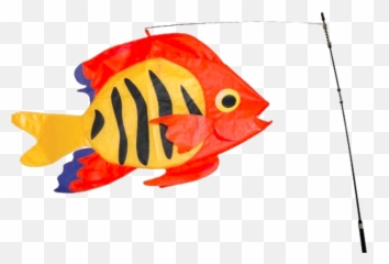 Download Hd Flame Fish Swimming 3d - Fish Png,Fish Swimming Png