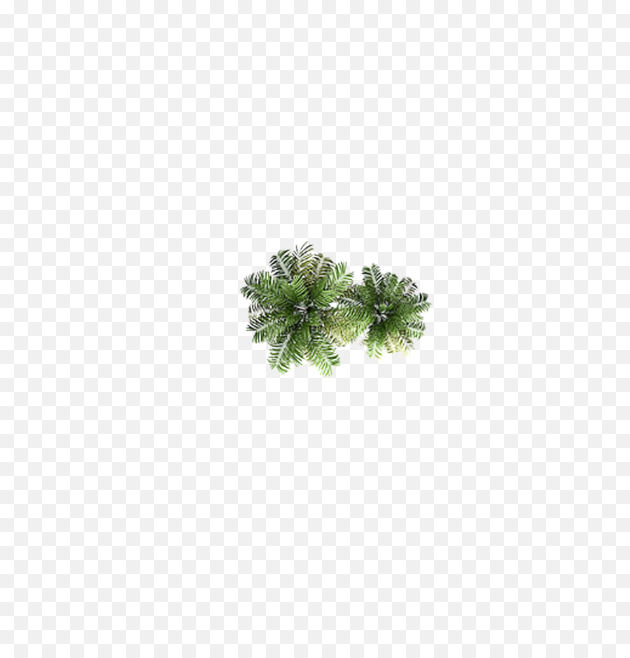 Png Download Free Clipart - Tree Png Top View,Tree Top View Png