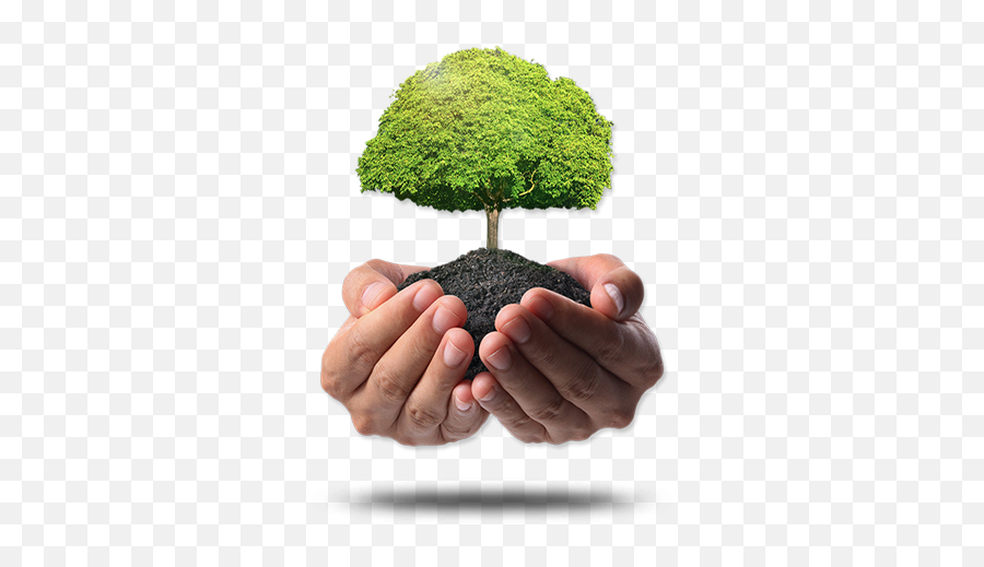 Plant A Tree Or Forest - Green India Clean India Logo Png,Forest Trees Png