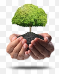 Plant A Tree Or Forest - Green India Clean India Logo Png,Forest Trees Png