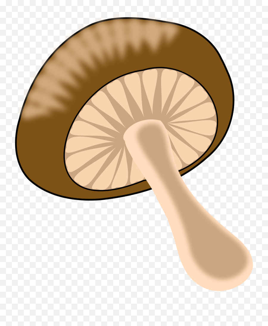 Mushroom Logo Transparent U0026 Png Clipart Free Download - Ywd Wild Mushroom Clipart,Mushroom Png