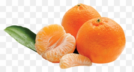 Fruits Transparent Clementine Picture - Easy Peelers Png,Clementine Png
