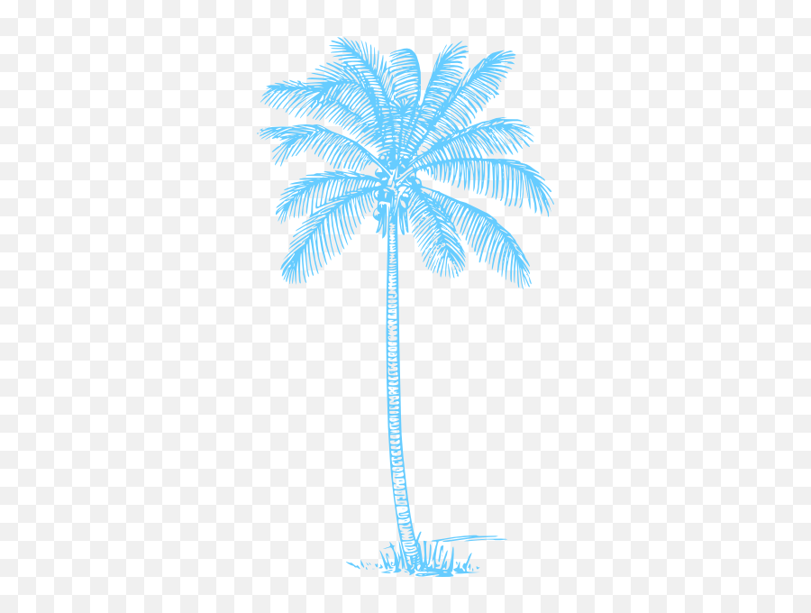 Palmera Azul Turquesa Clip Art - Palm Tree Png Drawing,Palmeras Png
