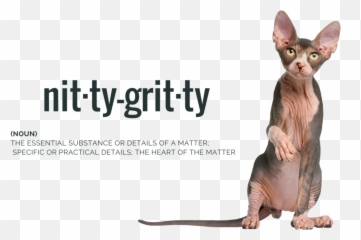 The Nitty Gritty - Nitty Gritty Png,Gritty Png