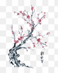 Japanese Cherry Blossom Tree Drawing - png