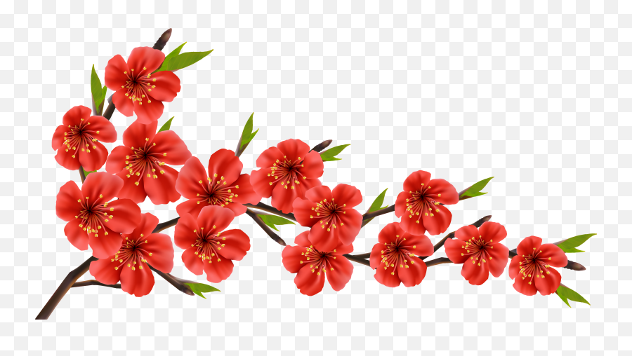 Spring Branch Png Clipart Image - Cherry Blossom Red Flowers,Red Flowers Png