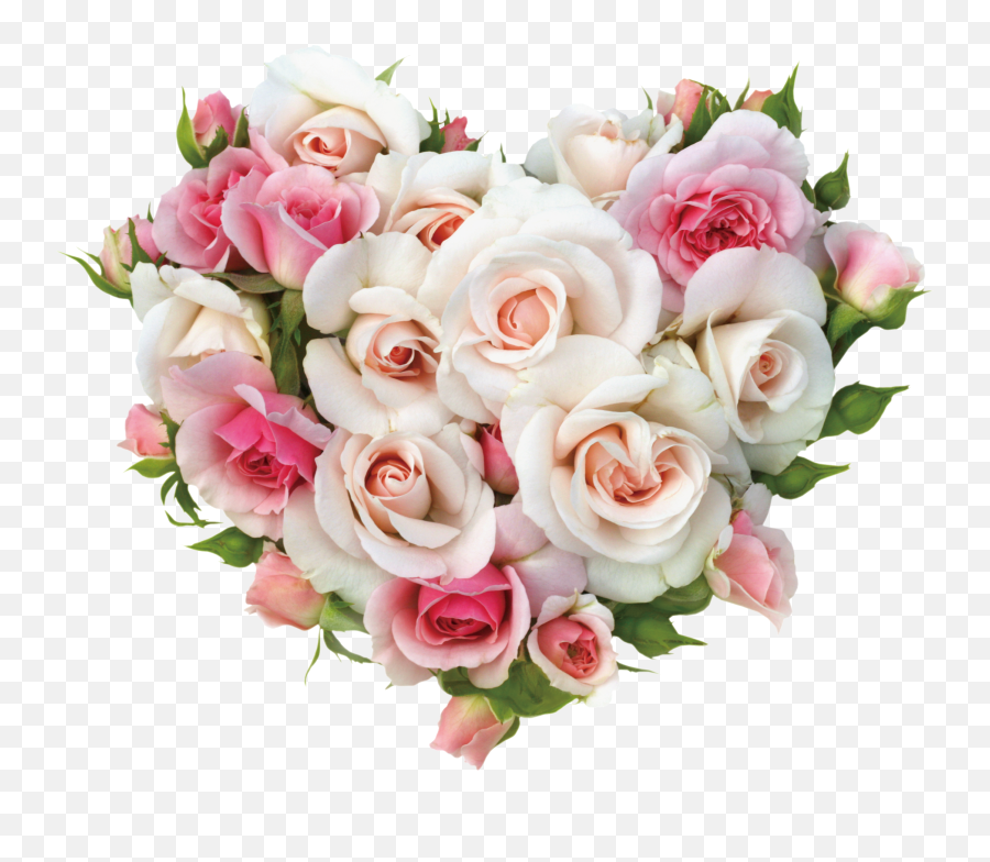Download Heart Shaped Flower Decoration Vector - Pink And Pink Flower Bouquet Png,White Rose Transparent Background