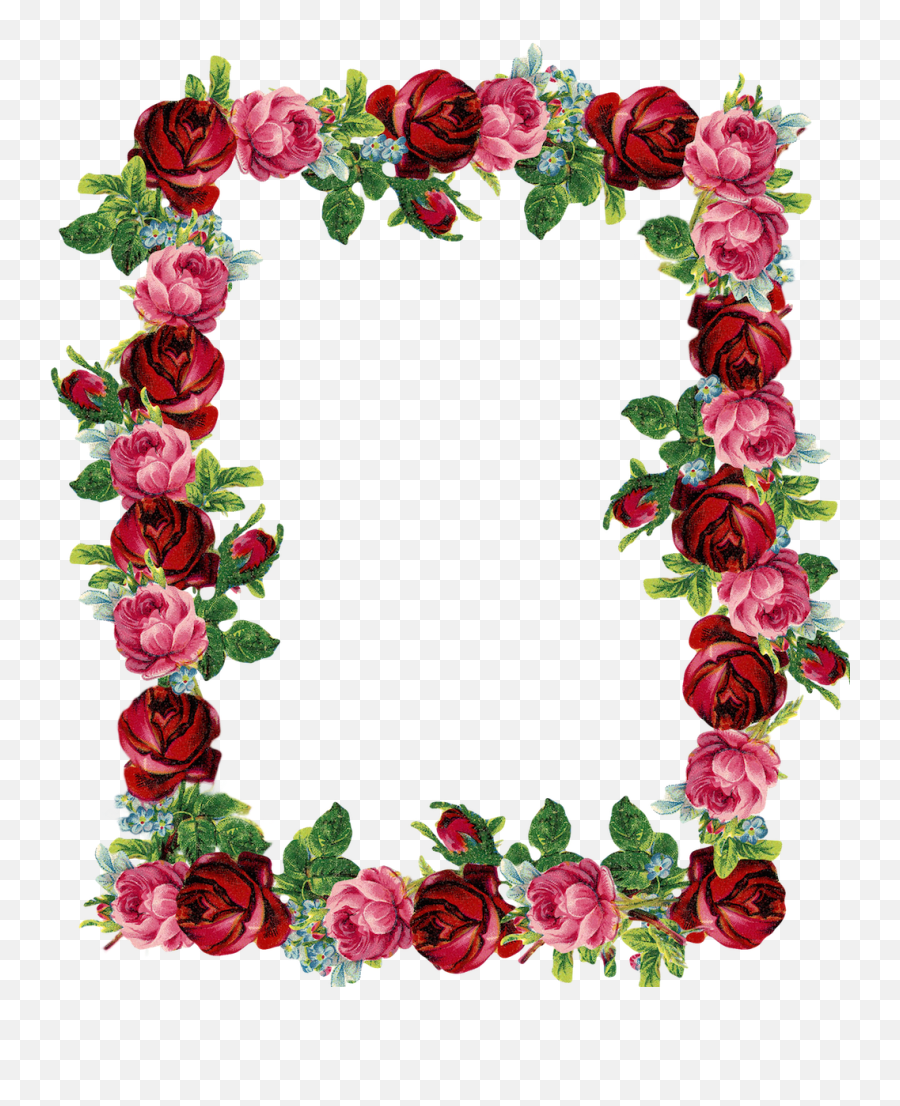 Rose Border Png Download Free Clip Art - Rose Flower Border Design,Rose Vine Png