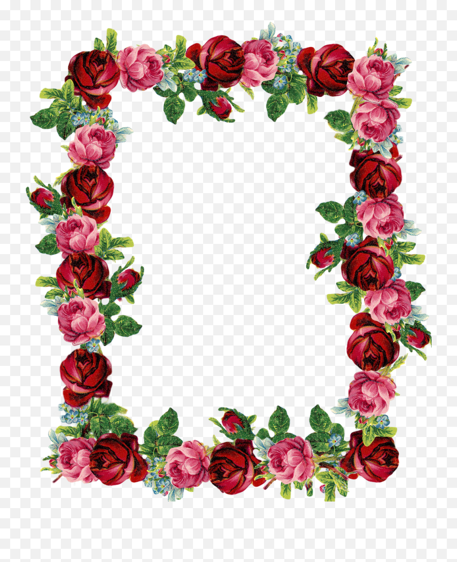 Rose Border Png Download Free Clip Art - Rose Flower Border Design,Rose  Vine Png - free transparent png images 