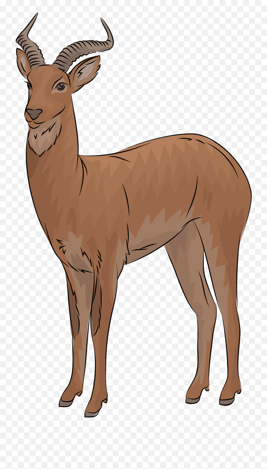 Uganda Kob Antelope Clipart - Animal Figure Png,Antelope Png