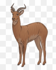 Uganda Kob Antelope Clipart - Animal Figure Png,Antelope Png