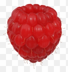 Large 3d Isolated Fruit Berry Raspberry - Bringebær Frø Png,Berry Png