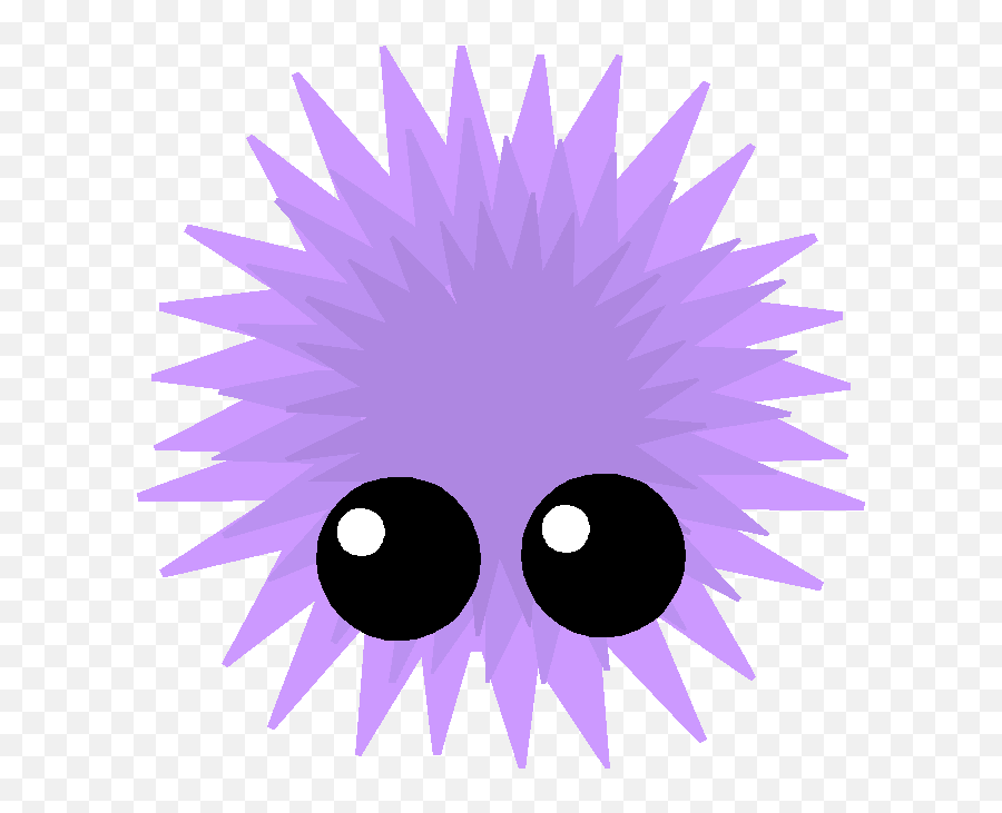 Mopeio - Sun Wearing Sunglasses Funny Png,Sea Urchin Png