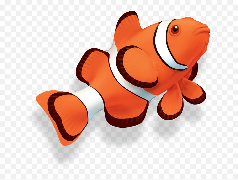 Clown Fish - Clown Fish Png Transparent,Clownfish Png