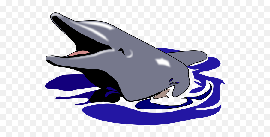 Dolphin - Dolphin Mouth Open Clipart Png,Open Mouth Png