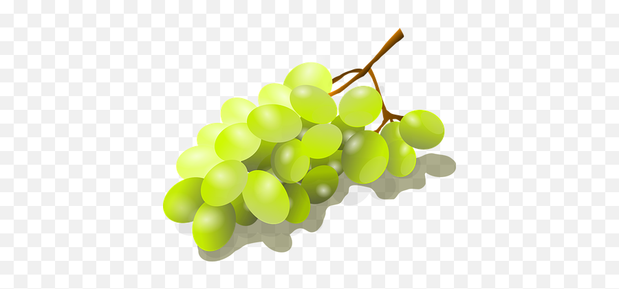 20 Free Bunch Of Grapes U0026 Vectors - Pixabay Bunch Of Grapes Png,Grapes Transparent
