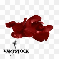 Go To Image - Falling Transparent Rose Petals Png Full Black
