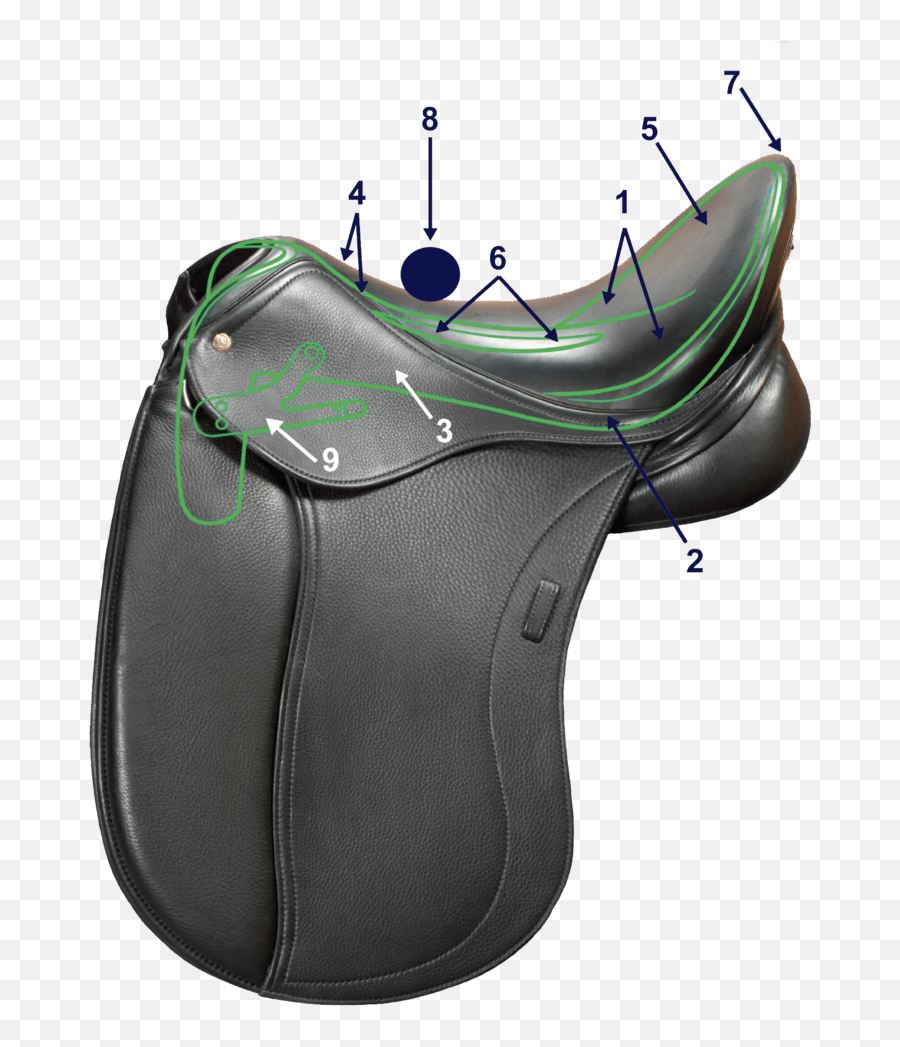 Saddle Fit Differences Between Men And - Bicycle Saddle Png,Saddle Png