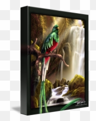 El Quetzal By Jared Castro - Quetzal Png,Quetzal Png