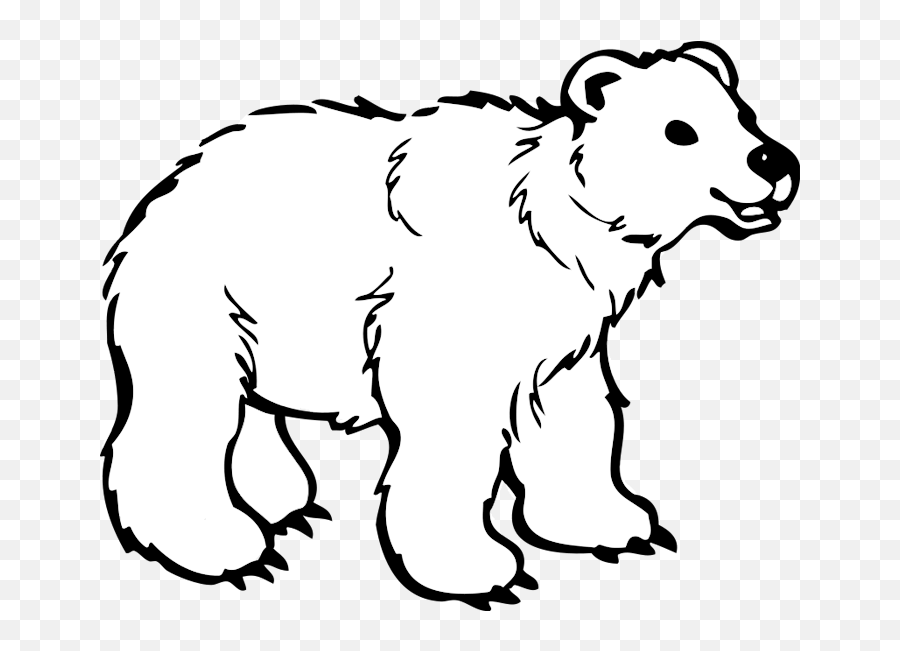 Cartoon Polar Bear Png 2 Image - Brown Bear Coloring Pages,Polar Bear Png